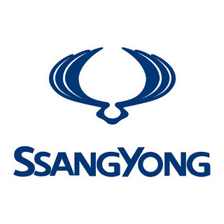 Autorizované autoservisy značky Ssang Young